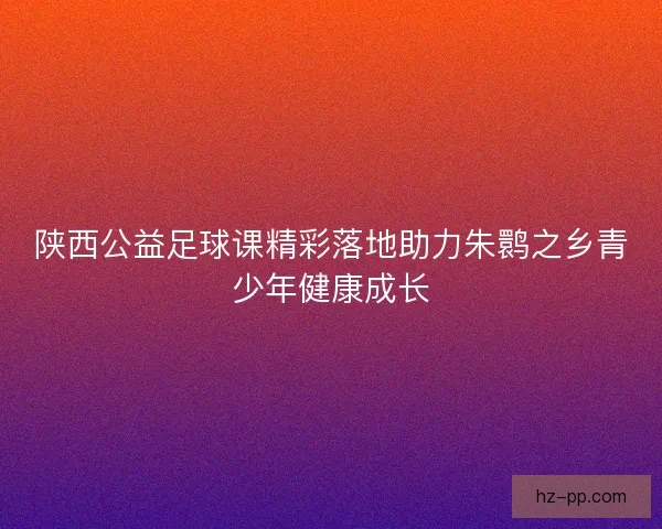 陕西公益足球课精彩落地助力朱鹮之乡青少年健康成长