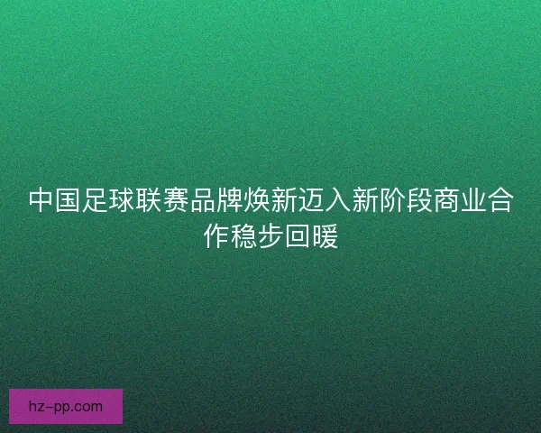中国足球联赛品牌焕新迈入新阶段商业合作稳步回暖