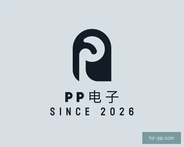 关于PP电子